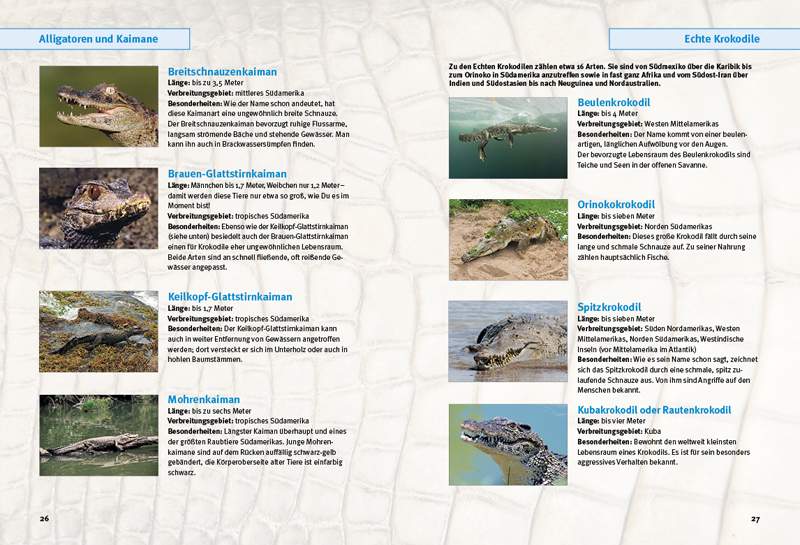 Preview: Entdecke die Krokodile
